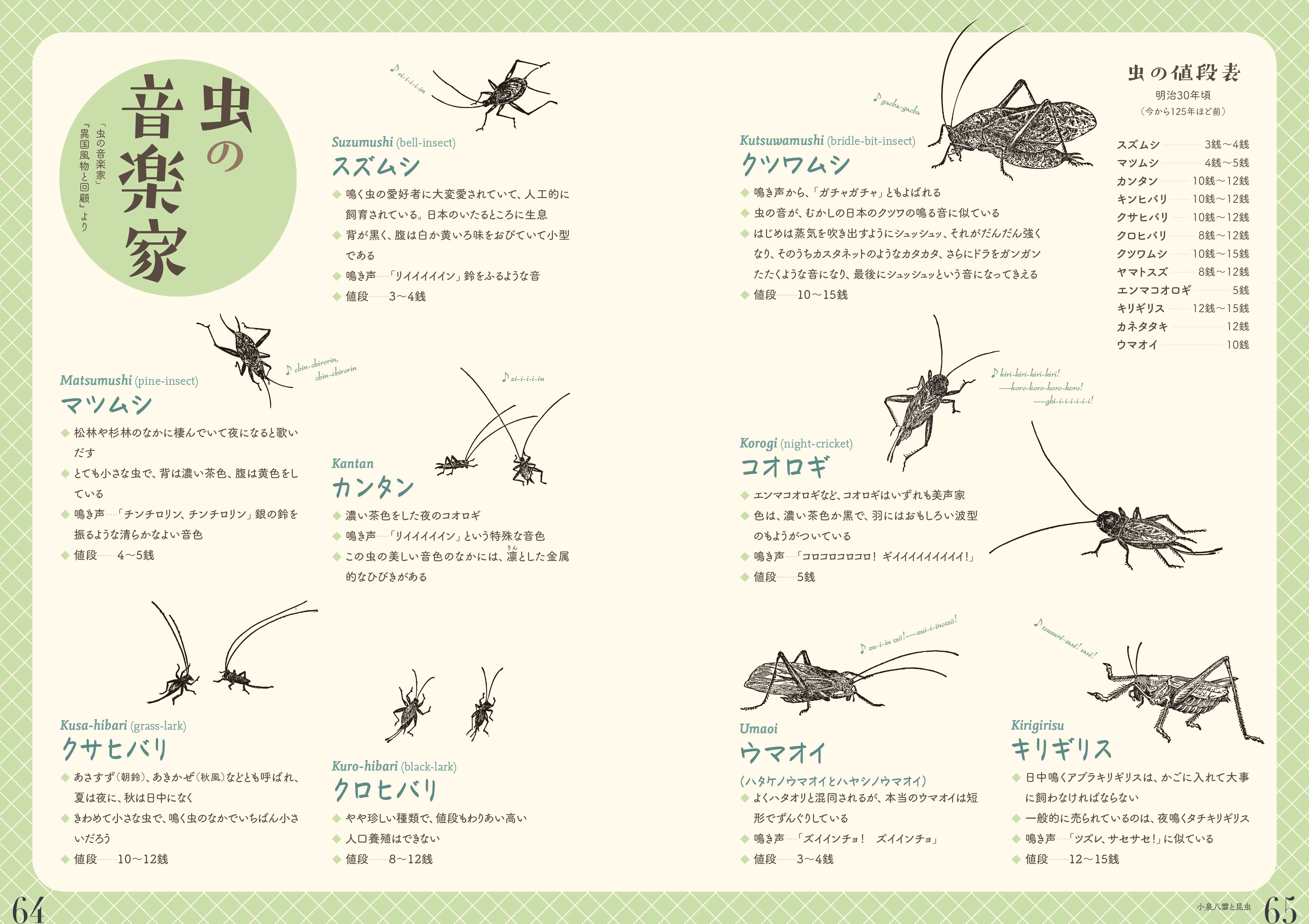 企画展図録「虫の詩ーかそけきものの声音を愛す」発売！ - お知らせ